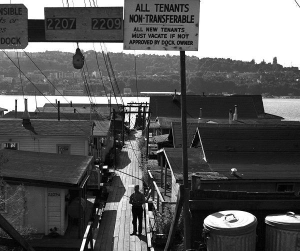 ferry tour in seattle